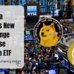 NYSE Arca Proposes New Rule Change for Bitwise Dogecoin ETF