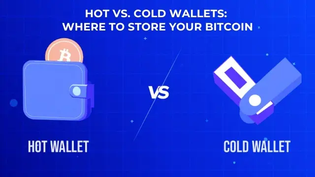 Hot vs. Cold Wallets Where to Store Your Bitcoin