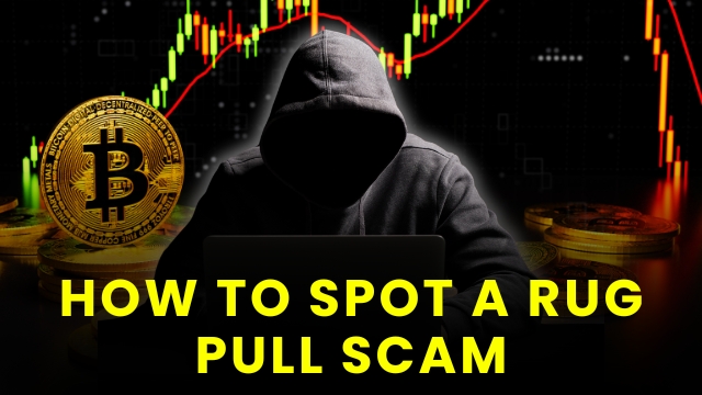 How to Spot a Rug Pull Scam