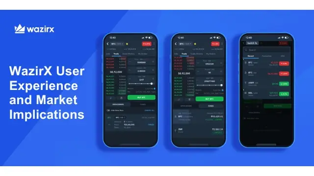 WazirX User Experience and Market Implications