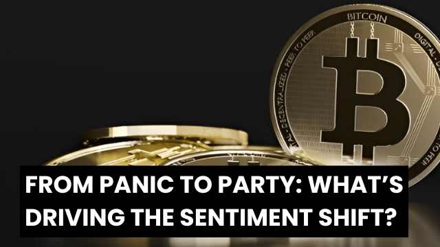 From Panic to Party: What’s Driving the Sentiment Shift?