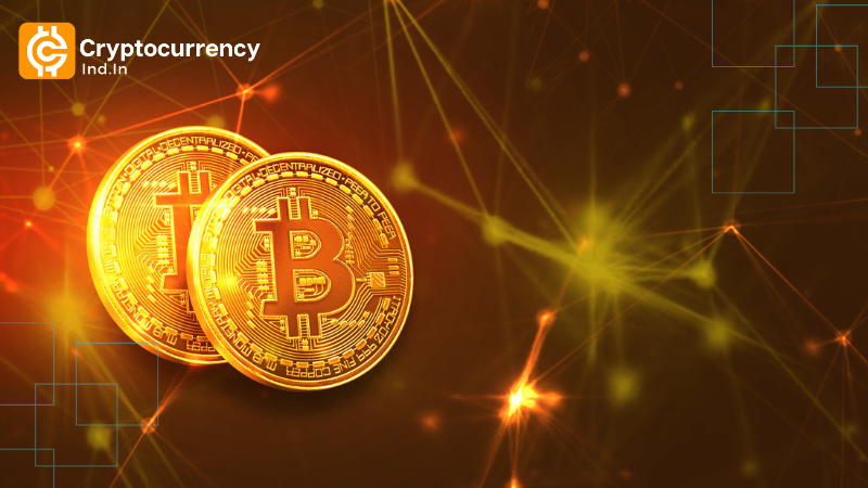Pantera Capital Invests $300 Million in Crypto Treasury Firms.
