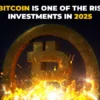 why bitcoin is one of the riskiest investments in 2025